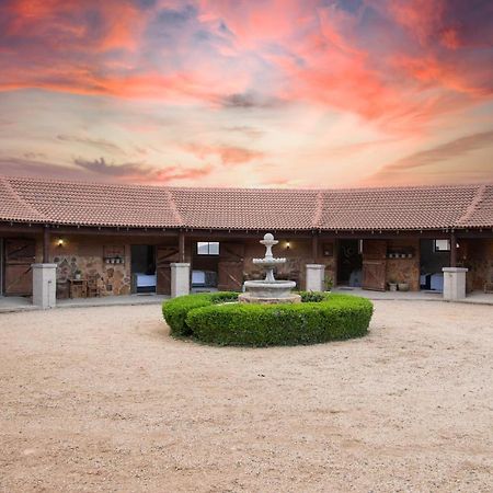 Mount High Luxury Stables Villa ไลเดนเบิร์ก ภายนอก รูปภาพ
